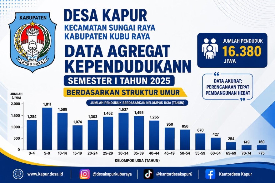 Data Agregat Kependudukan Desa Kapur Semester I Tahun 2025 Berdasarkan Struktur Umur