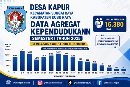 DATA PENDUDUK BERDASARKAN UMUR